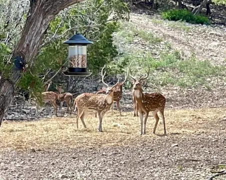 Premier Hunting Retreat in Val Verde