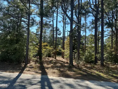 Residential Land in Hamlet, NC