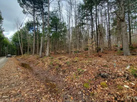 Wooded Land Near East Grand Lake