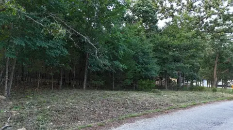 Land in Golden, Missouri