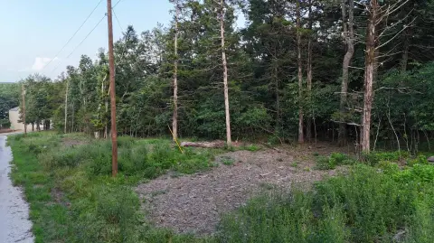 Land Near Table Rock Lake