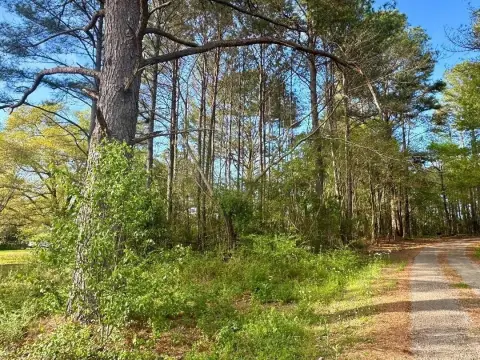 Jasper, AL Land Opportunity