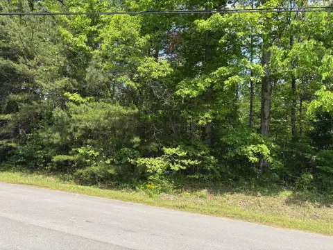 Serene Wooded Lot in Jasper