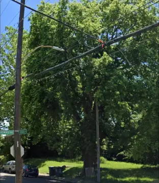 Downtown Memphis Development Opportunity