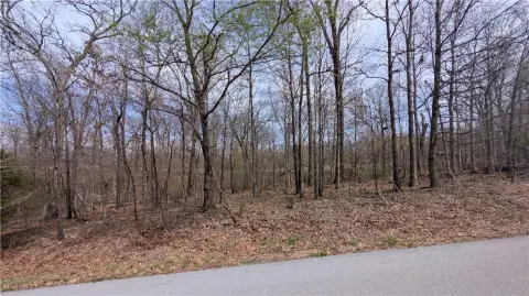 Bella Vista Golf Course Lot