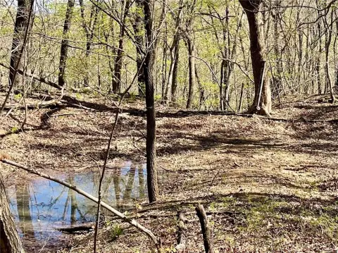 Recreational Hunting Wooded Land