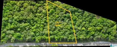 Jemison Acreage Ready For Vision