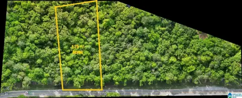 Jemison Acreage Ready For Vision