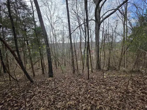 Secluded Residential Lot with Lake Access