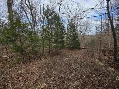 Wooded Hillside Home Lot