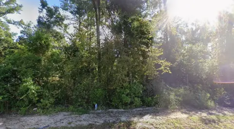 Residential Lot in Crawfordville, FL