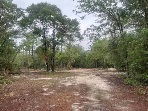 Gadsden County Land Investment Potential