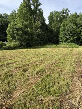 Level Build-Ready Land with Septic Approval