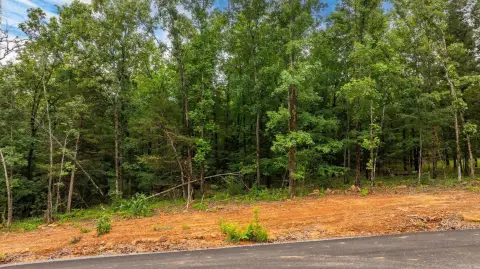 Residential Lot in New Subdivision