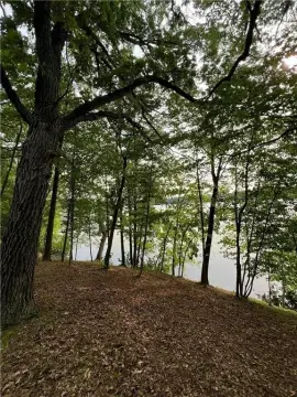 Pine Lake Wooded Lot