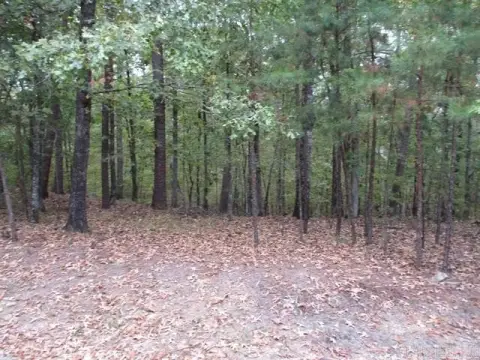 Residential Lot in Hot Springs