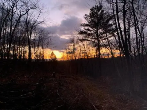 Residential Land with Deeded ROW