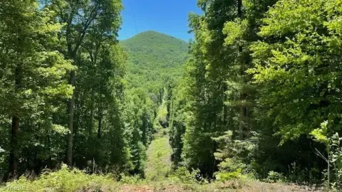 Creekfront Recreational Land