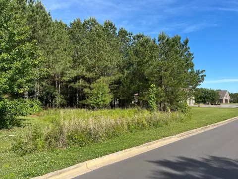 Jasper, AL Flat Lot