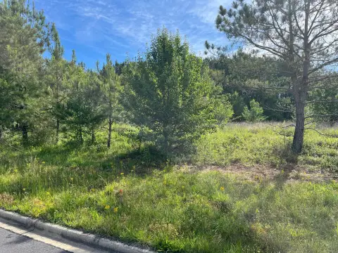 Land For Sale, Jasper, AL