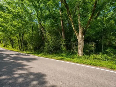Residential Lot in Jasper, AL