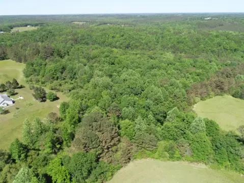 Haleyville Land with Natural Features