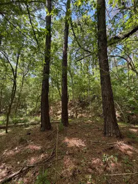 Land in Peaceful Parrish Setting