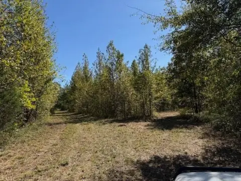 Moscow, TN Recreational Land Parcel