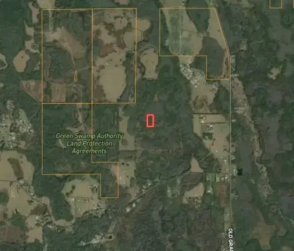 Wooded Land Parcel