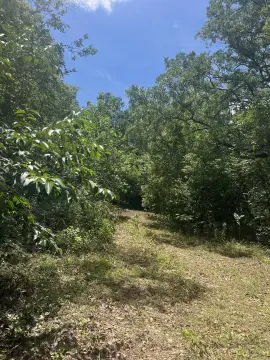 Tallahassee Land for Development