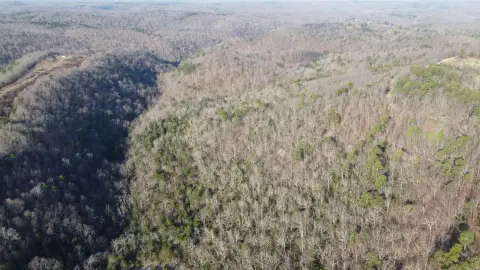 Harriet, Arkansas Recreational Hunting Land