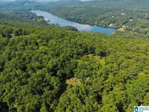 Secluded Acreage with Lake Views