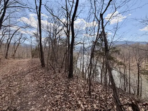 Riverfront Acres Overlooking National Forest