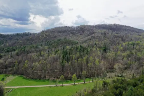 Greeneville Land Near National Forest