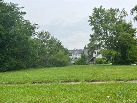 Detroit Land Investment Opportunity
