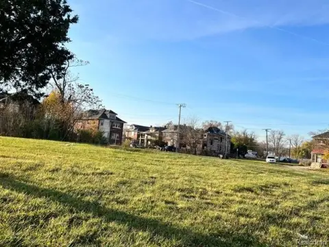 Detroit Land Infill Opportunity