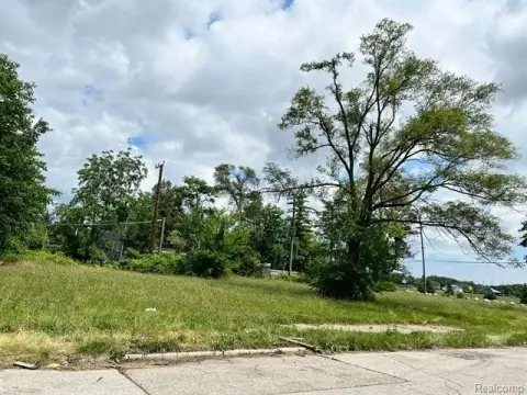 Hamtramck Vacant Land Opportunity