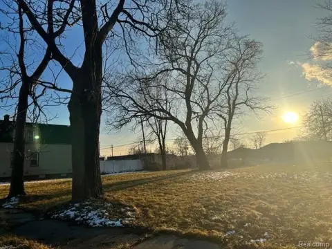 Detroit Land Bank Development Opportunity