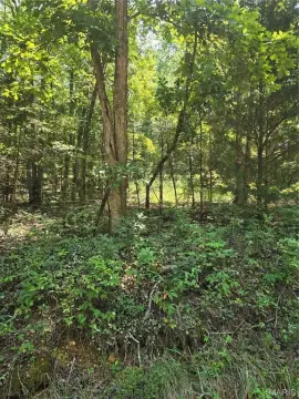 Recreation Land with National Forest Border