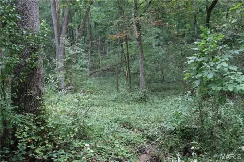 Wooded Agricultural Land