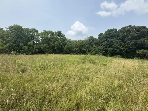 Residential Land with Mature Woods