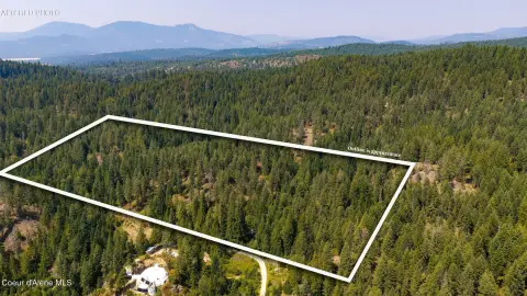 Timbered Land with New Access Road