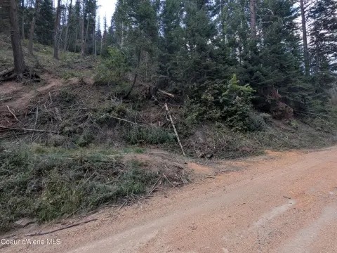 Recreational Land with Creek