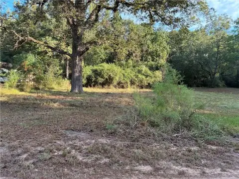 Wooded Recreational Land