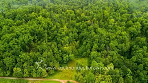 Wooded Hunting Land with Creek
