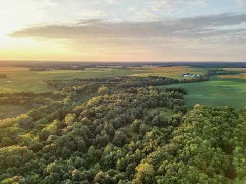 Wooded Hunting Land