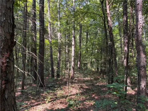 Unrestricted Wooded Acreage