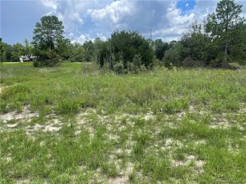 Homesite Near Crystal River