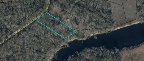 Land on Withlacoochee River