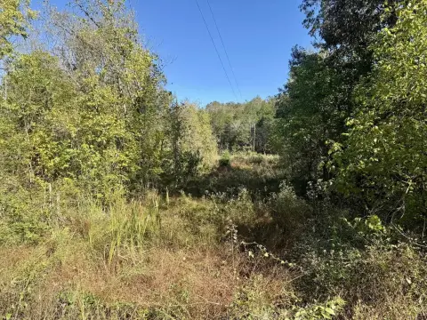 Franklin, Arkansas Acreage For Sale